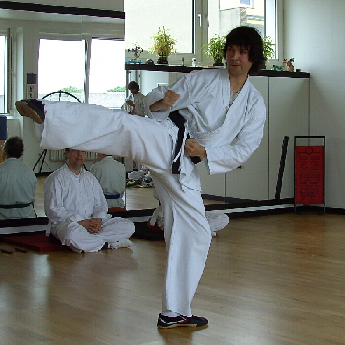 Kung-Fu im Tao-Chi. Kurse, Workshops und Seminare seit 1988 in Duisburg-Neudorf - Willkommen auf unseren Webseiten