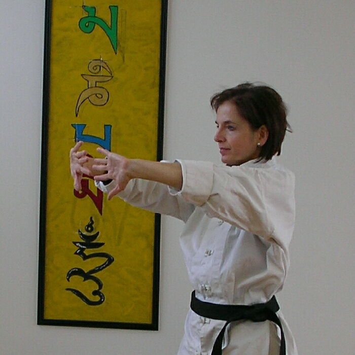 Qigong - auch Chi-Kung, Dao-Yin oder Nei-Kung genannt - Energiearbeit und Lebenspflege, Atemschule und Meditation 