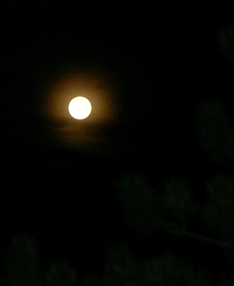 Wintervollmond Januar 2009