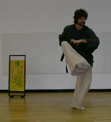 Bilder aus den Drachenformen des Wuxing Gong der Shaolin-Schule