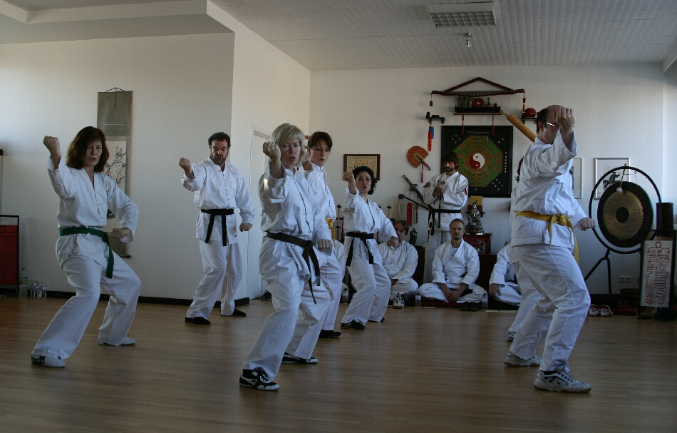 Tao-Chi Duisburg. Kung-Fu im Drachen-Stil - Bilder aus der Lang-Form des Ch'an Shaolim-Si Tao