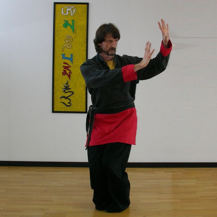 die Schlange - Wuxing-Shu, Bewegungs- und Atemschule im Shaolin