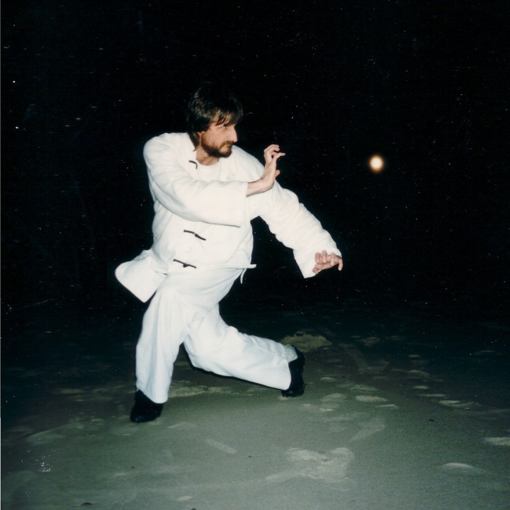 der Tiger im Kung-Fu des Shaolin-Systems der Tiger im Kung-Fu des Shaolin-Systems