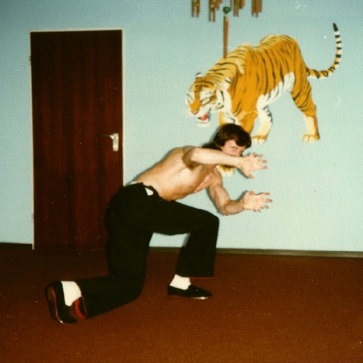 der Tigerstil im Kung-Fu des Shaolin-Systems der Tigerstil im Kung-Fu des Shaolin-Systems