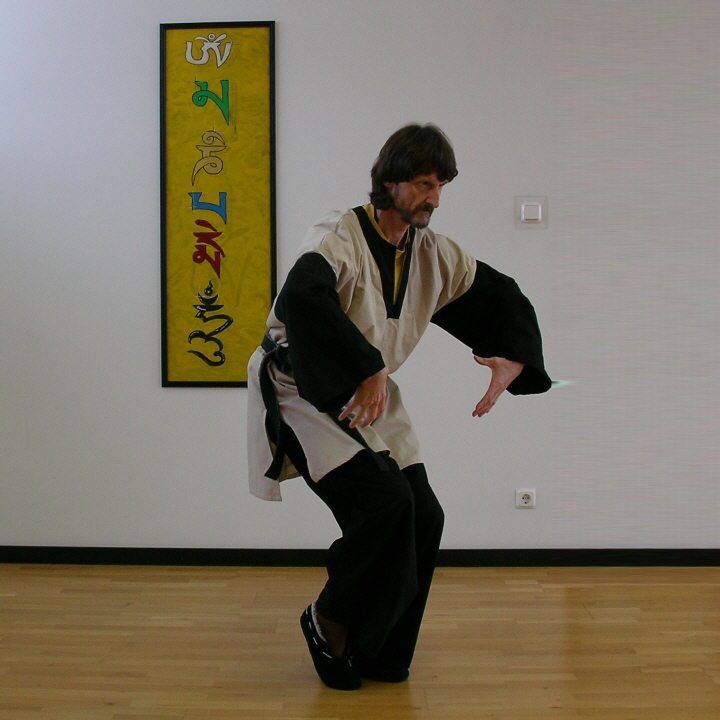 der Tiger im Kung-Fu des Shaolin-Systems