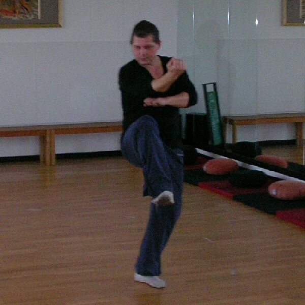 Xing-Yi-Quan [Hsing-I Ch�uan] - Olaf Rolving im Tao-Chi Dojo Duisburg