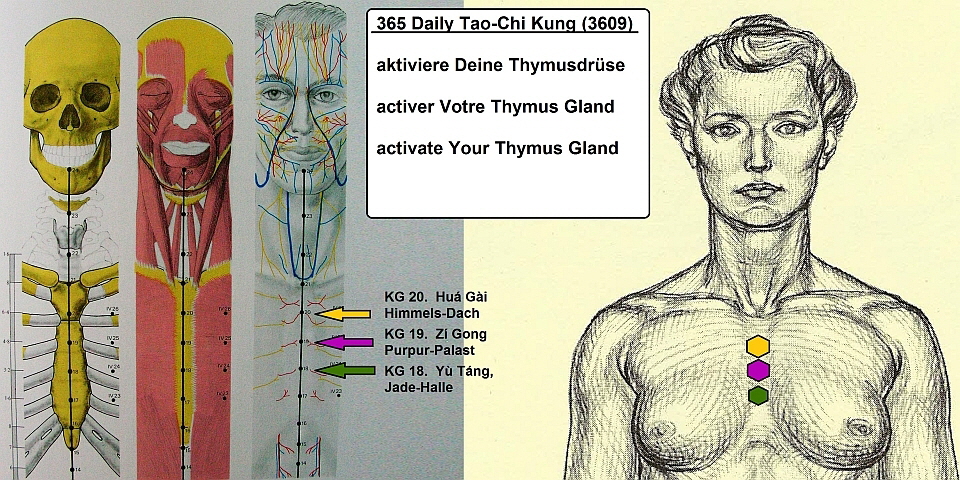 365 DAILY EXERCISES; Activate the Thymus Gland KG-18-19-20_Jade-Halle_Purpur-Palast_Himmels-Dach 960x480