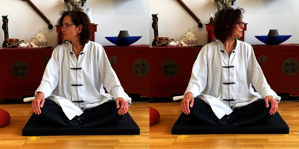 365 Daily Tao-Chi Kung, Purity and Silence, Tiao Xin, free Your Heart-Mind from Fury and Anger (960x480)