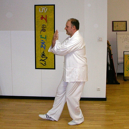 Tai-Chi Chuan der Shaolin-Schule, (Gesundheitsformel 0096) 450Q