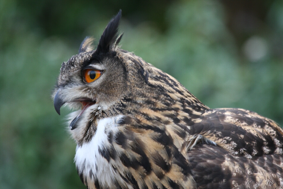 Photo Ulrike Limberg