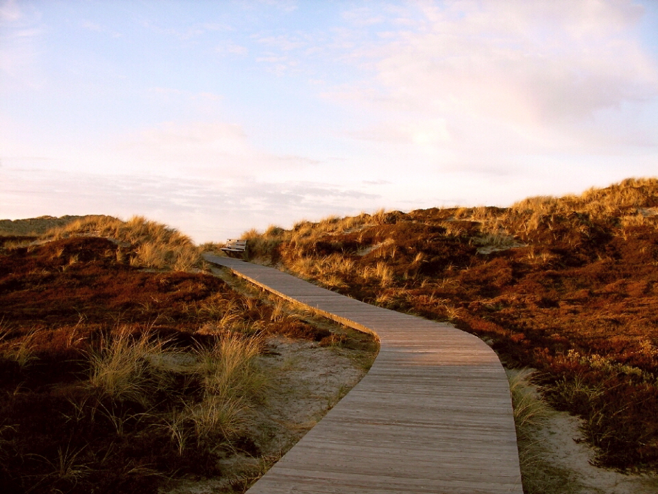 TAO - means ,finding ones own Unique Way 960x720 Langeoog Dunes