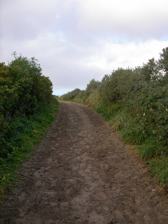 Tao ... einen Weg finden ...