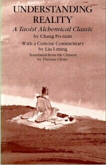 Vom Begreifen der Wirklichkeit - Chang Po tuan ... 