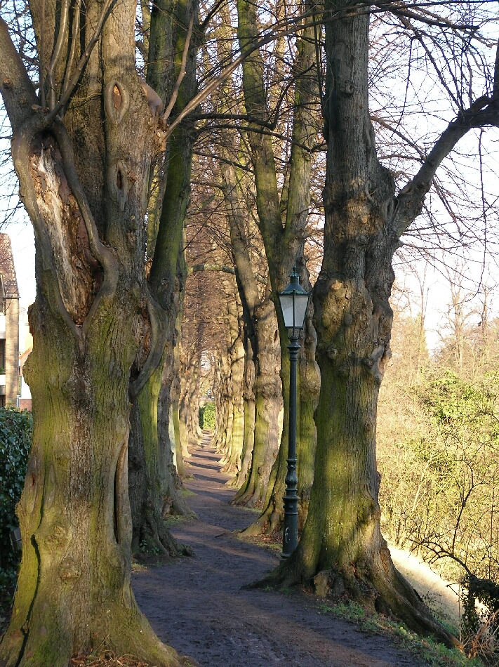 relax Your mind ... Tao, einem Pfad oder Weg folgen ... aus unseren Fotoarchiven ...