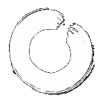 Tao-Chi - seit 1988 die Schule f�r Tai-Chi und Kung-Fu, Qigong und Meditation in Duisburg Neudorf . Kurse . Seminare . Workshops