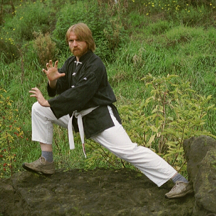 Kung-Fu im Tao-Chi . Kampfkunst und Meditation, Energiearbeit und Philosophie