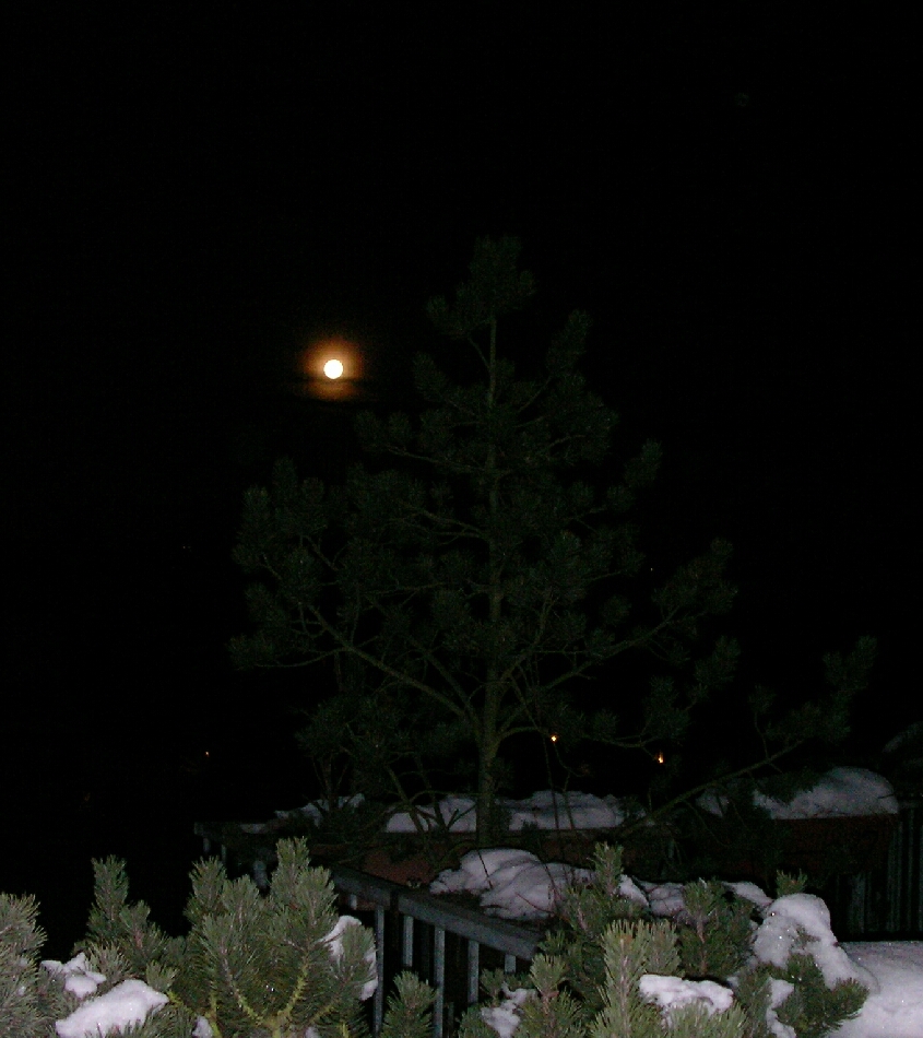 Wintervollmond Januar 2009