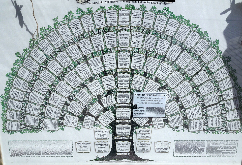 Baum mit Sprüchen über das Leben 960x720
