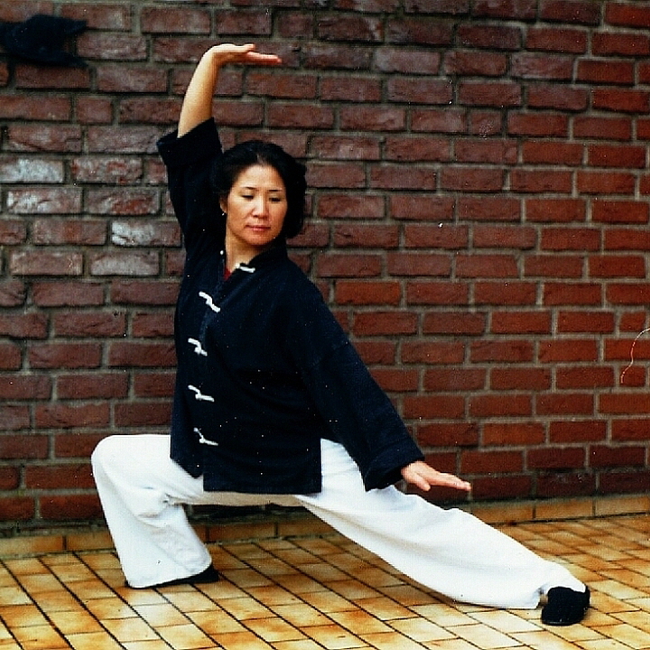 Willkommen zur Seminarübersicht Qigong, auch Daoyin genannt, Atemschule und Heilgymnastik, Energiearbeit und Meditation - Übungen zur Pflege der persönlichen Mitte  und Entwicklung innerer Kraft