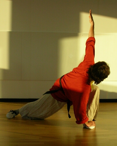 Taiji Tjie Kong - Qigong-Übungen aus dem Tai-Chi der Shaolin-Schule