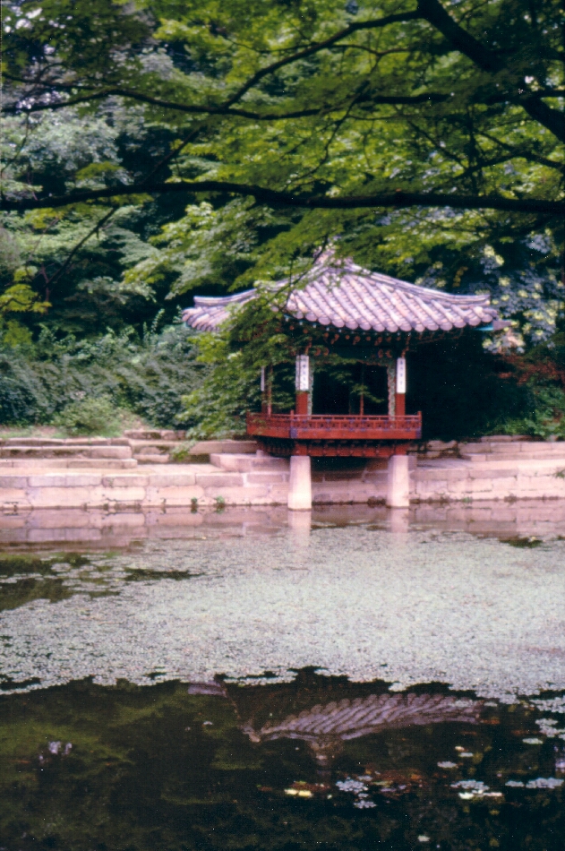 relax Your mind ... Meditation - Urlaub für den Geist... Bilder aus Koreanischen Tempeln ... [Photoarchive von Jörg Hülsewede ] 