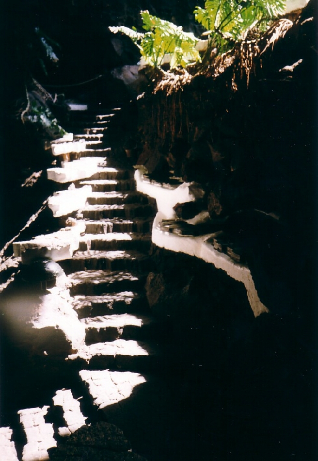 Jameos del Agua,  Stufen in der Grotte  Tao-Chi Photo-Archive 